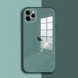 Чехол Color-Glass для Iphone 11 Pro Max бампер с защитой камер Green